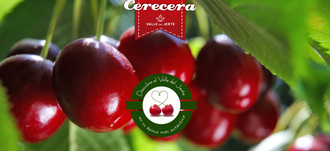 cerecera22.jpg