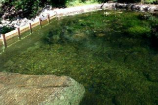 Piscina Natural Las Camellas