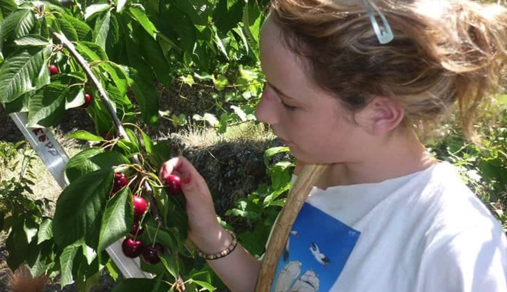 Cerezas, yo las cojo yo me las como