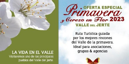 Alberjerte. Oferta Cerezo en Flor 