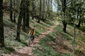 Ruta 6 BTT Sierra de Tormantos