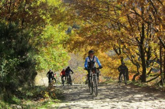 Ruta 4 BTT Umbría de Cabezuela