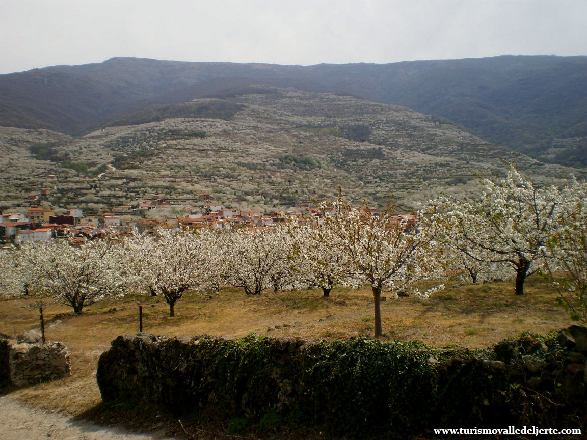 Ruta del Convento. SL-CC 22