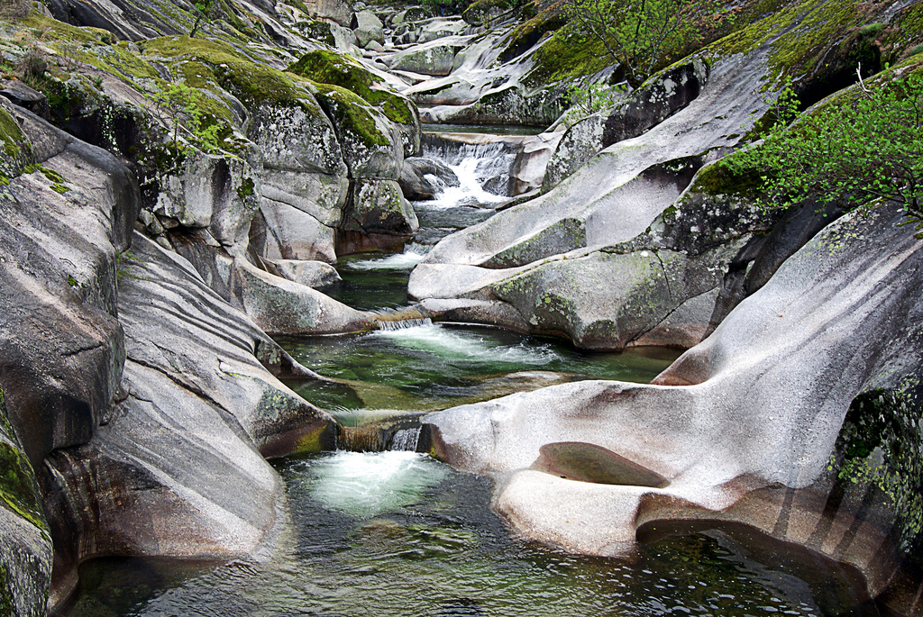 Reserva Natural de la Garganta de los Infiernos