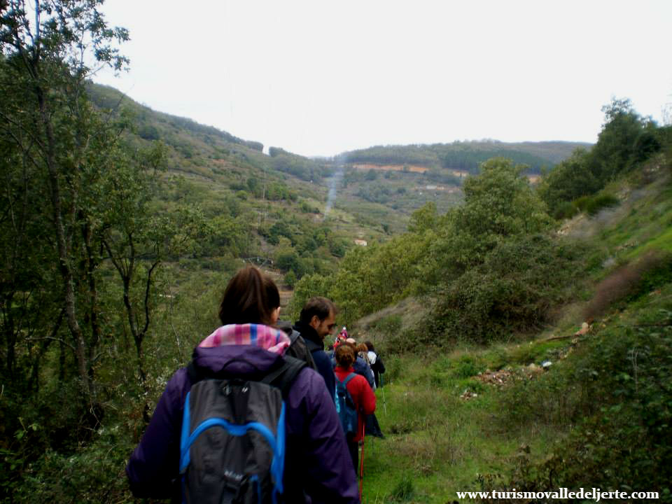 Ruta Robledal de la Solana. PR-CC 18