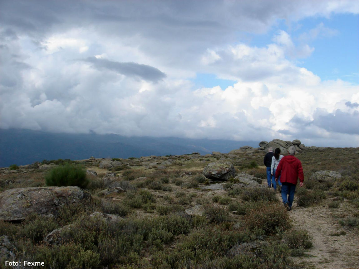 Ruta Vallejo La Laguna. SL-CC 18